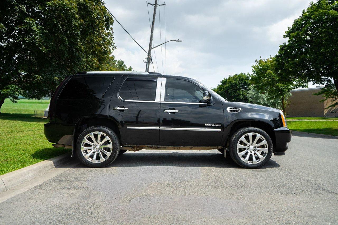 2012 Cadillac Escalade PREMIUM Photo3