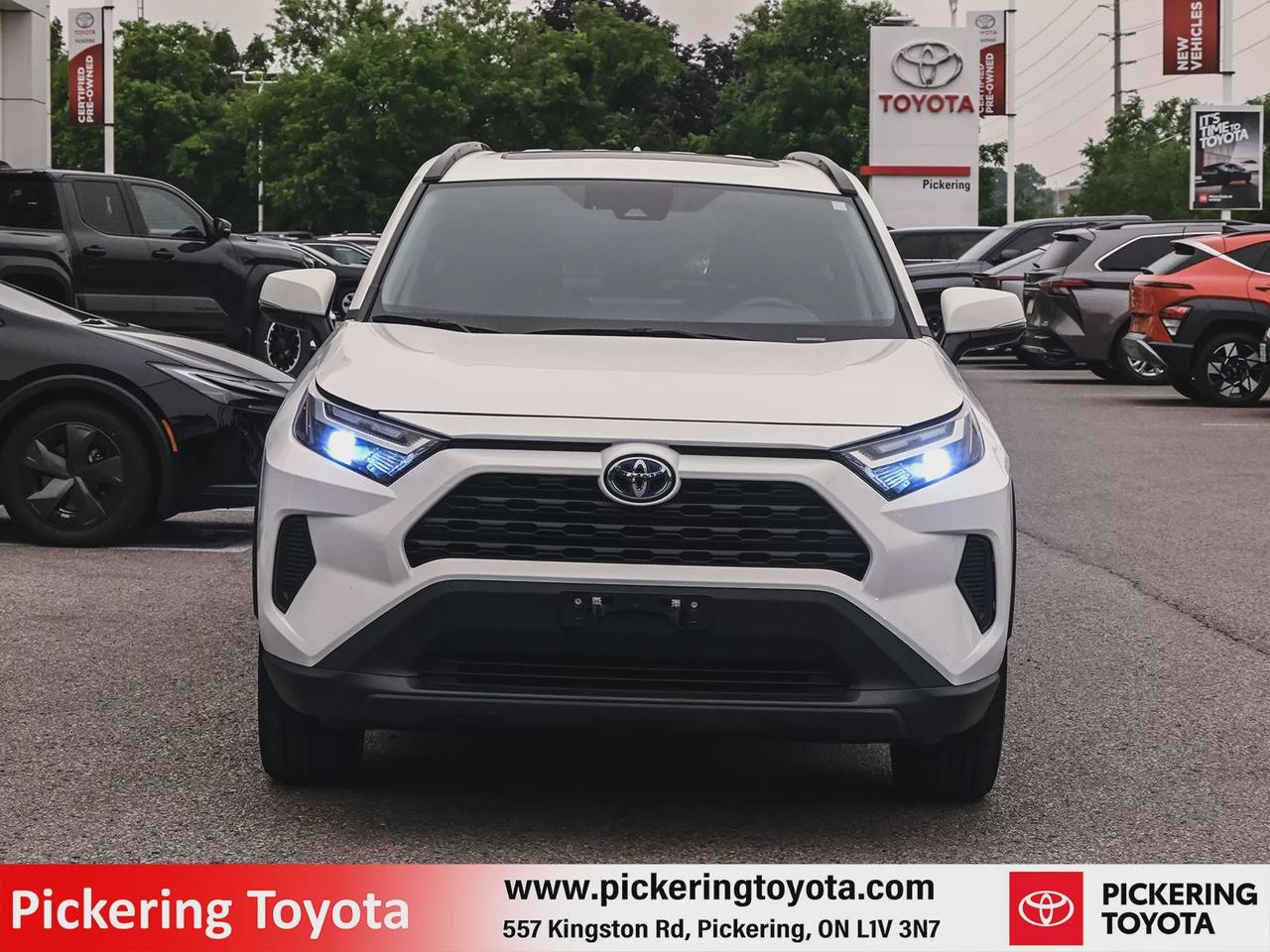 2024 Toyota RAV4 Hybrid XLE Photo