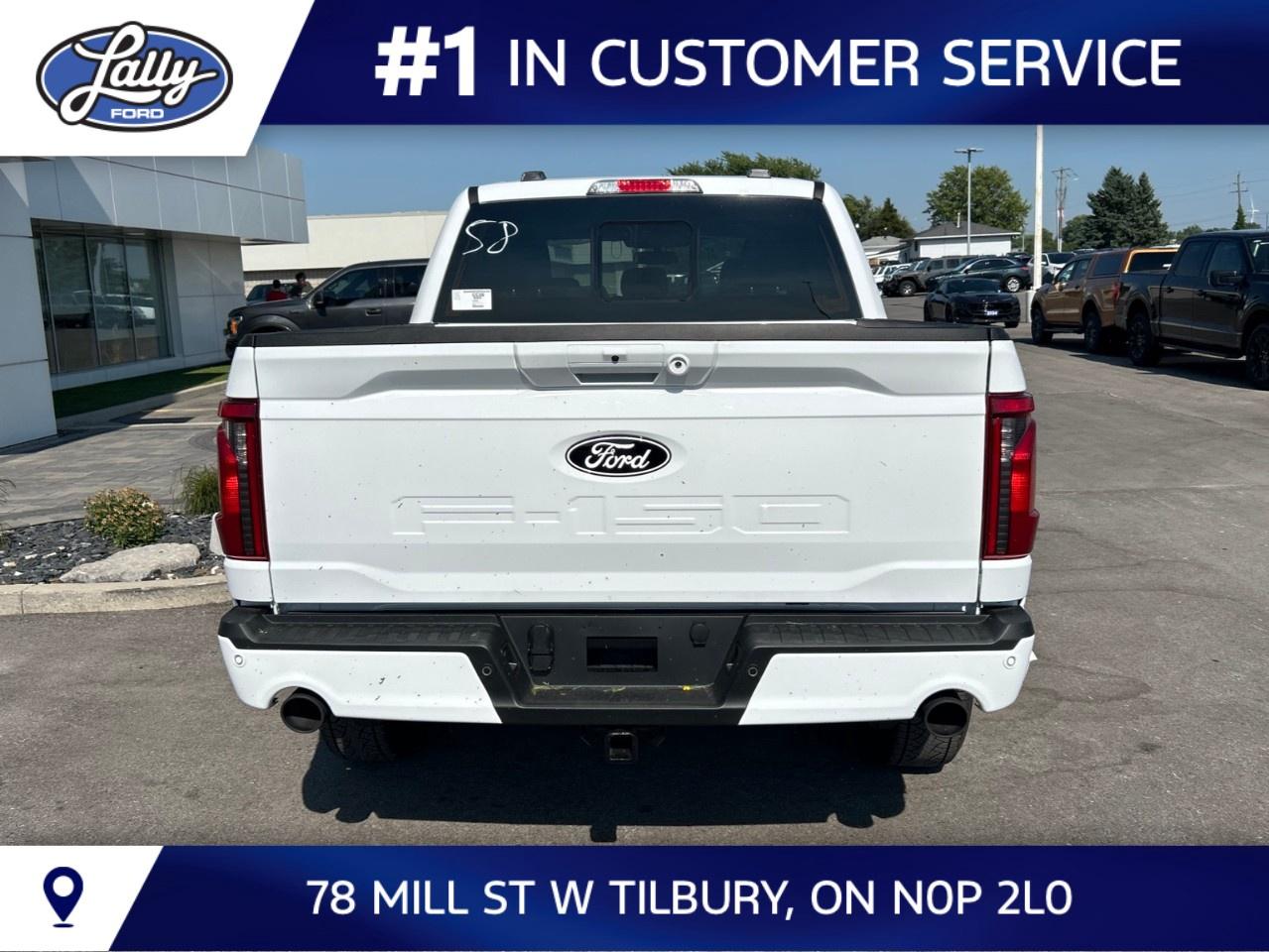 2026 Ford F-150 XLT 4WD SuperCrew 5.5' Box Photo3