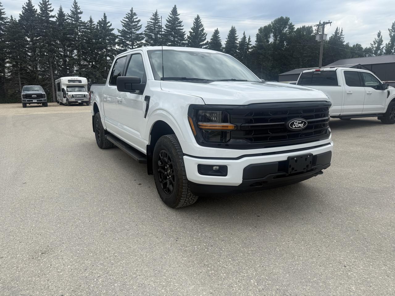 2026 Ford F-150 XLT 4WD SuperCrew 5.5' Box Photo1
