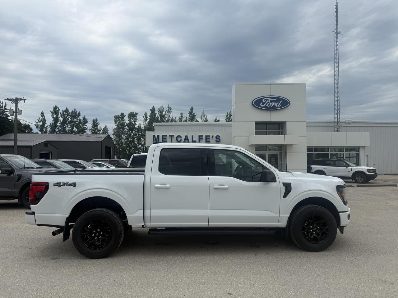 2026 Ford F-150 XLT 4WD SuperCrew 5.5' Box Photo0