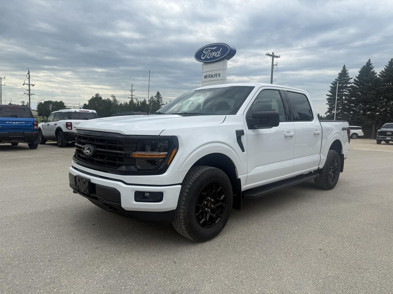 2026 Ford F-150 XLT 4WD SuperCrew 5.5' Box Photo3