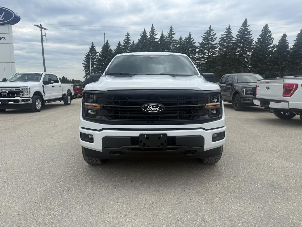 2026 Ford F-150 XLT 4WD SuperCrew 5.5' Box Photo2