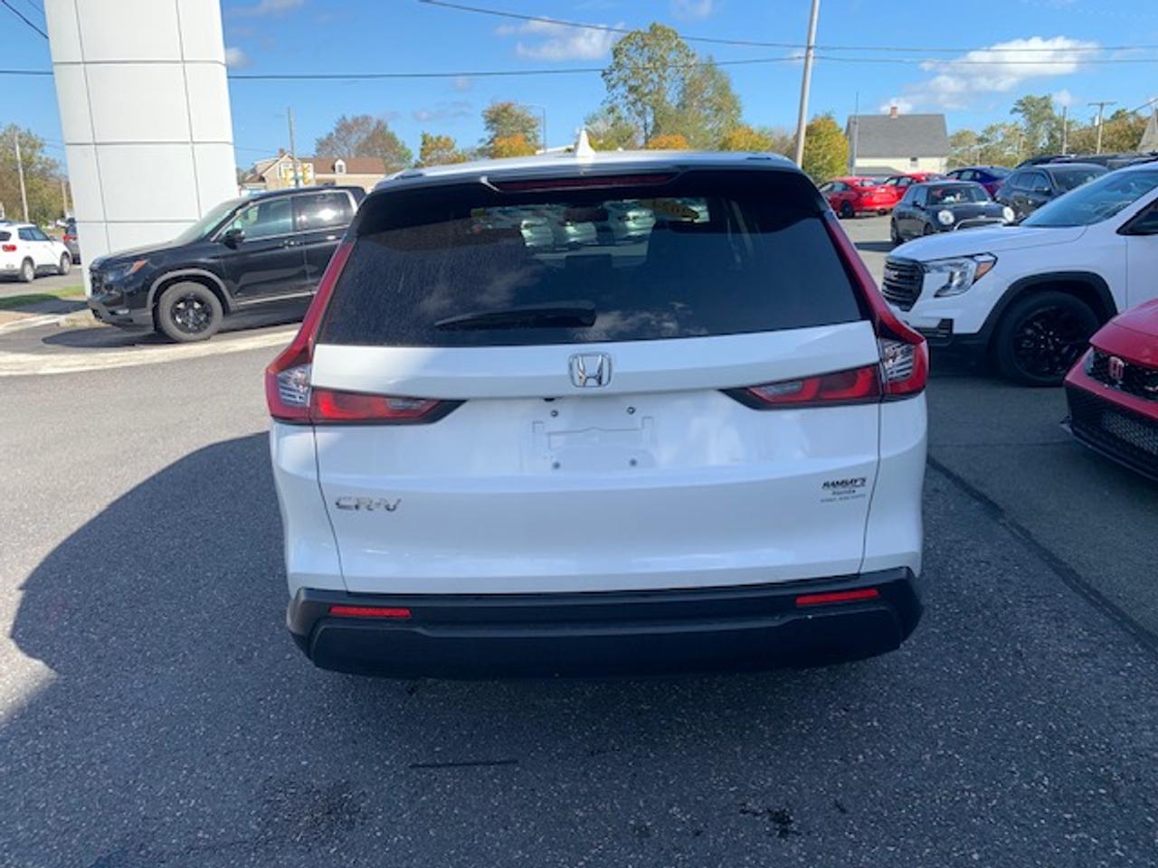 2024 Honda CR-V LX-B Photo