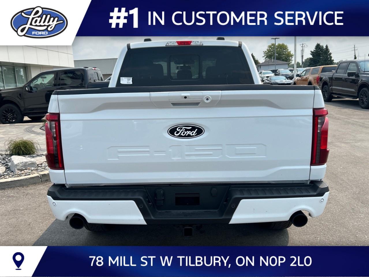 2026 Ford F-150 XLT 4WD SuperCrew 5.5' Box Photo3