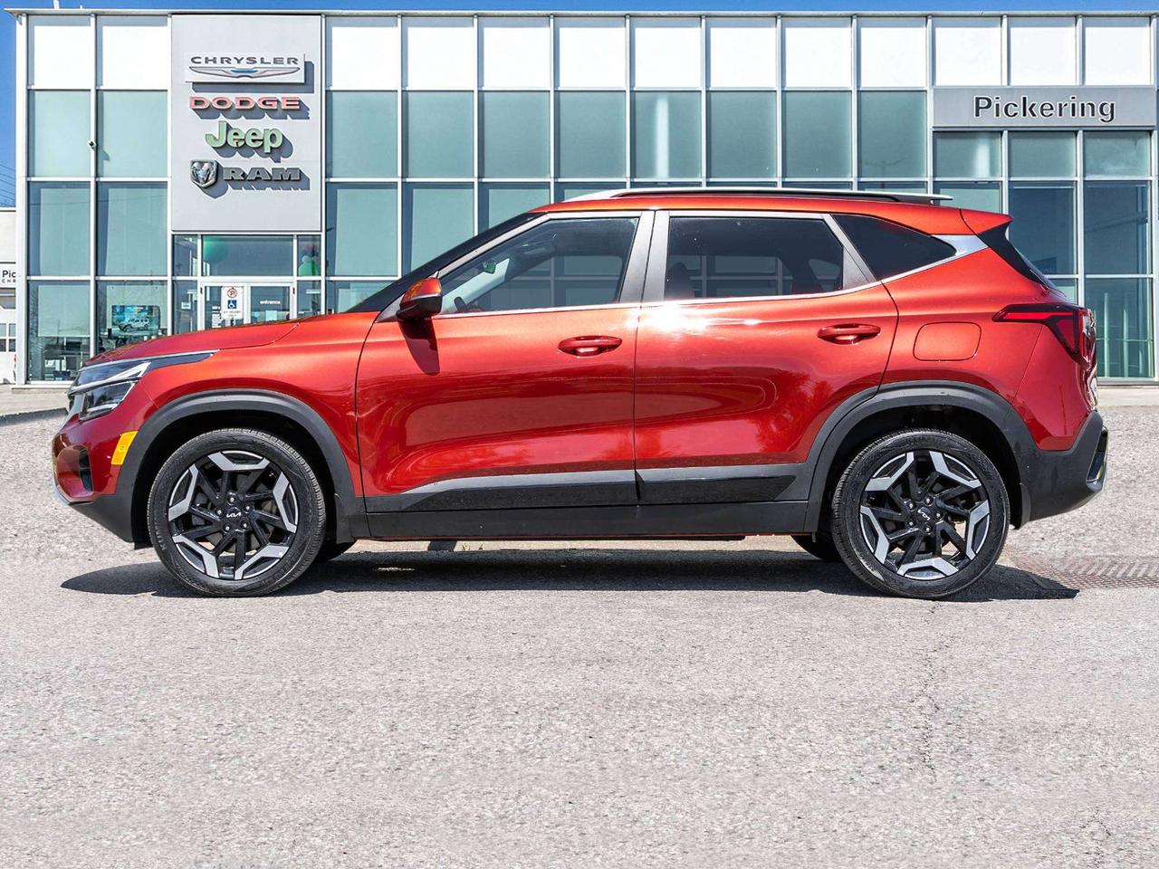2024 Kia Seltos LEATHER ROOF NAVI  LOW KMS Photo