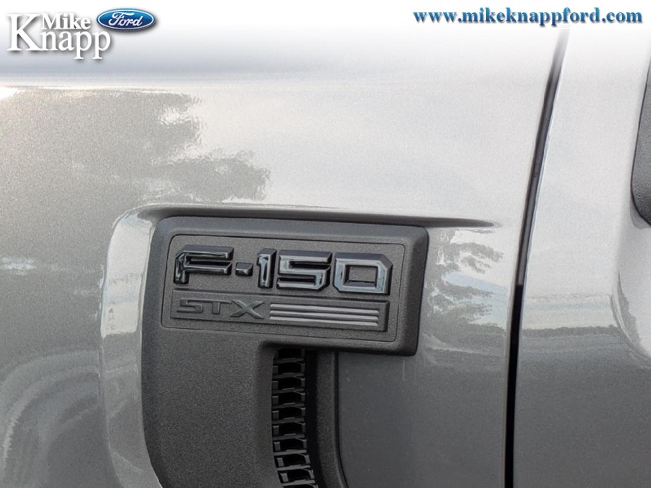 2026 Ford F-150 STX Photo