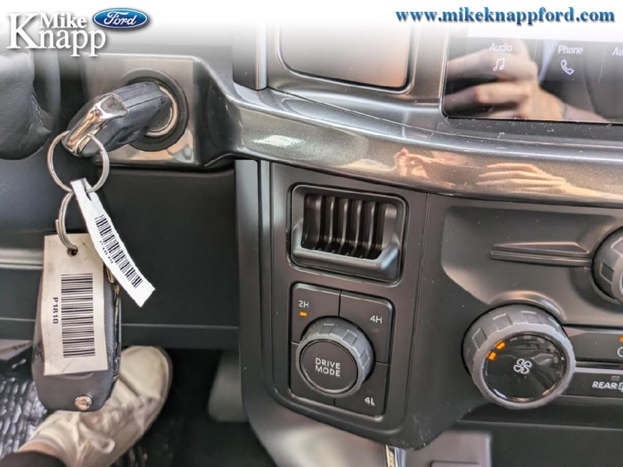 2026 Ford F-150 STX Photo