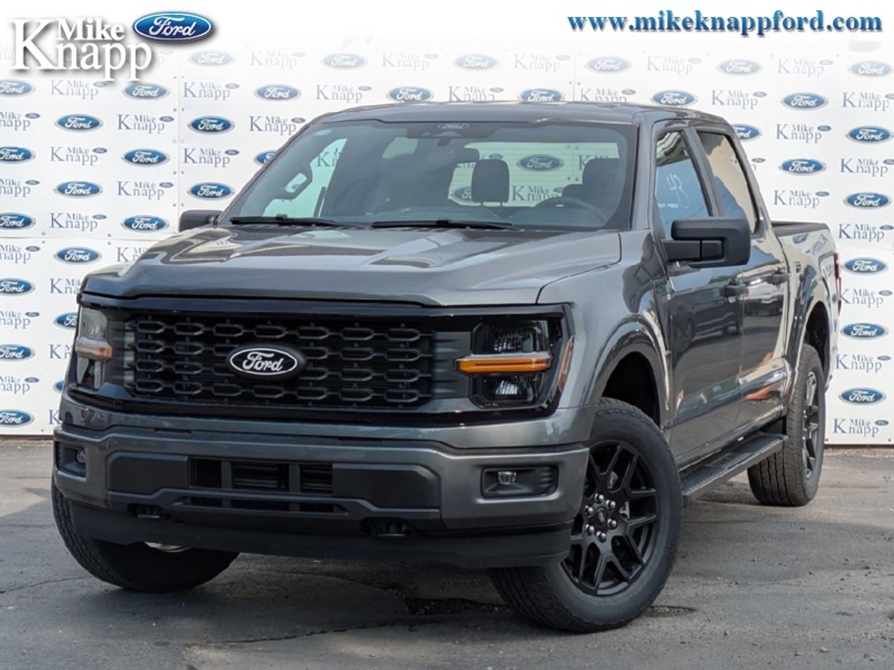 2026 Ford F-150 STX Photo