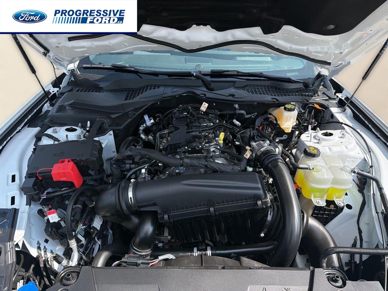 2026 Ford Mustang EcoBoost Premium 2dr Fastback Photo