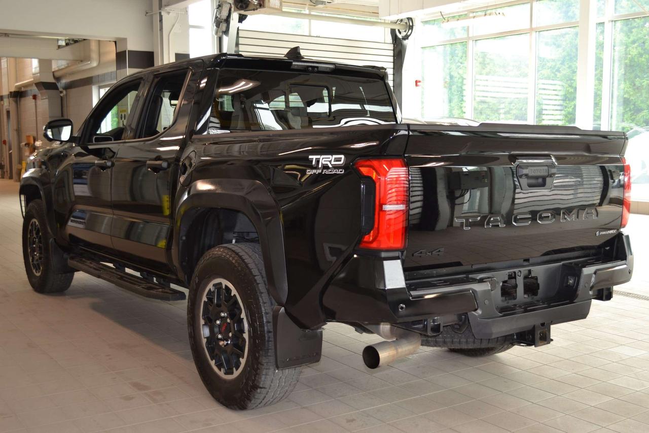 2025 Toyota Tacoma  Photo