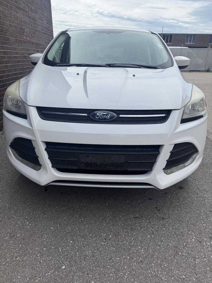 2016 Ford Escape 4WD SE Photo