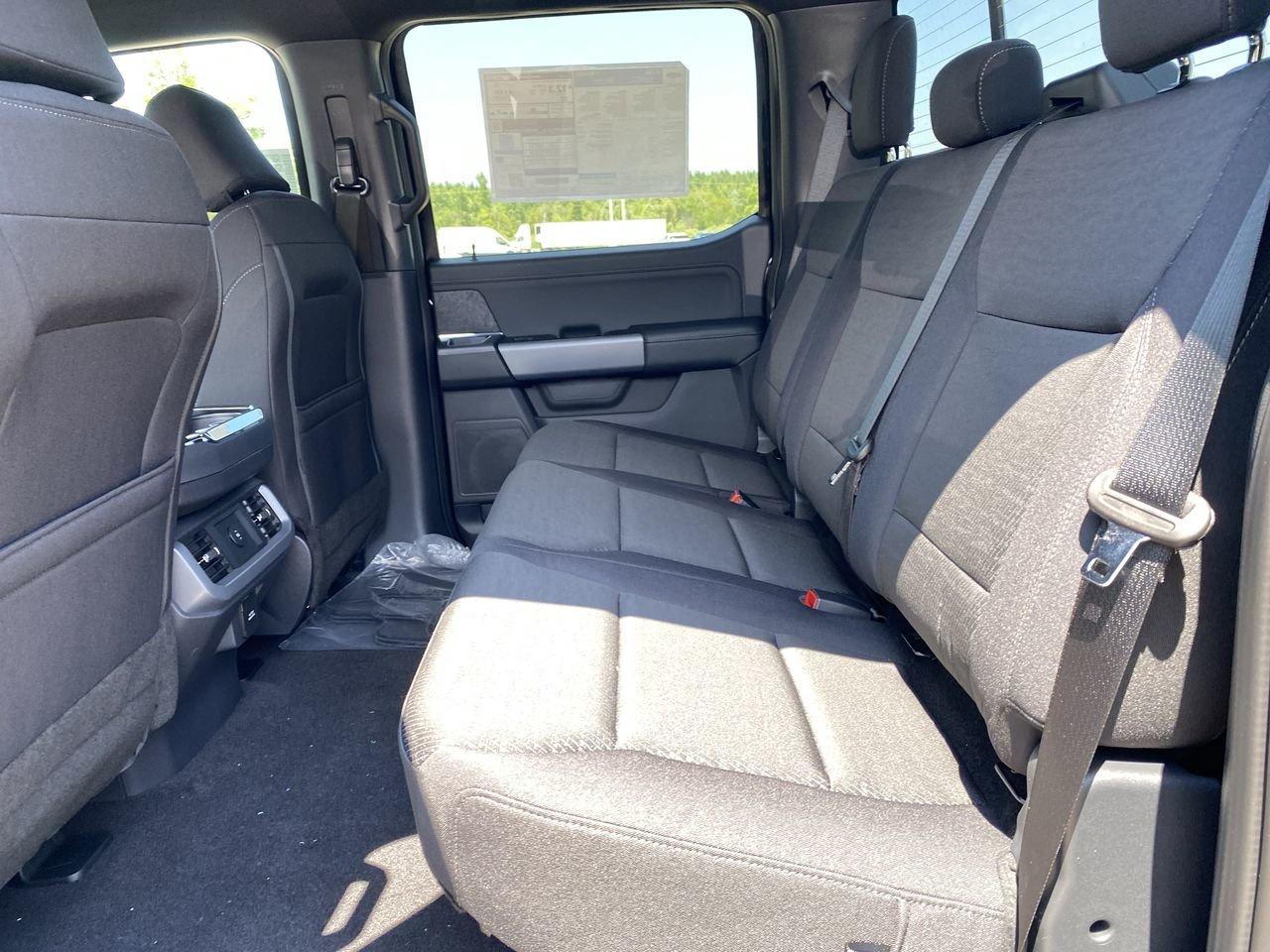 2026 Ford F-150 XLT Photo
