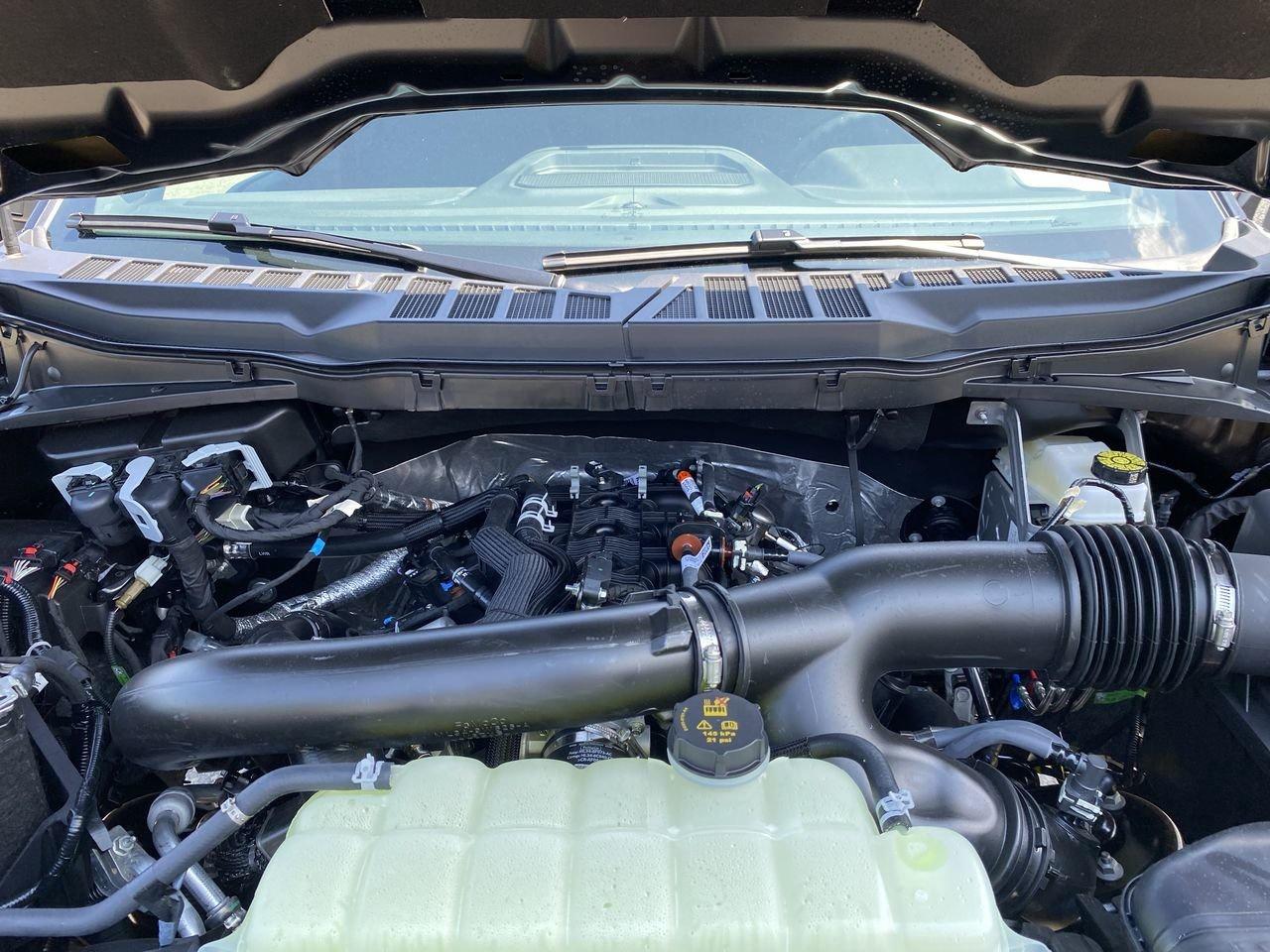 2026 Ford F-150 XLT Photo