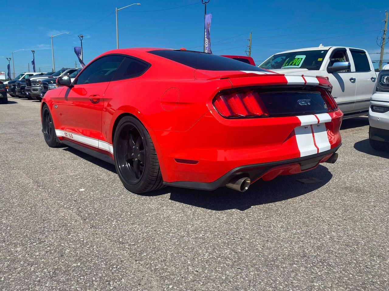 2016 Ford Mustang GT Premium ~5.0L ~6-Speed ~Brembos ~Shaker Audio Photo