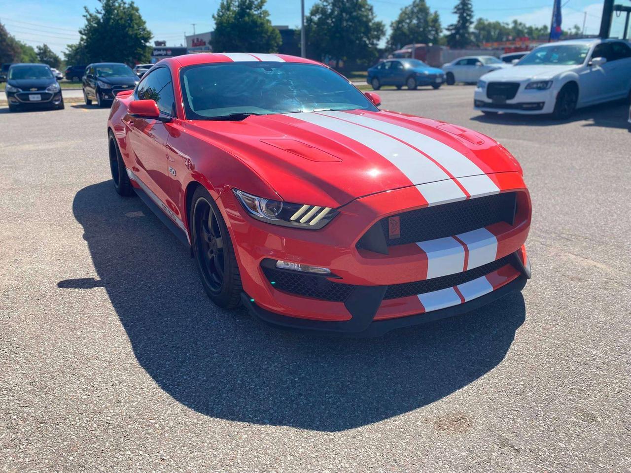 2016 Ford Mustang GT Premium ~5.0L ~6-Speed ~Brembos ~Shaker Audio Photo