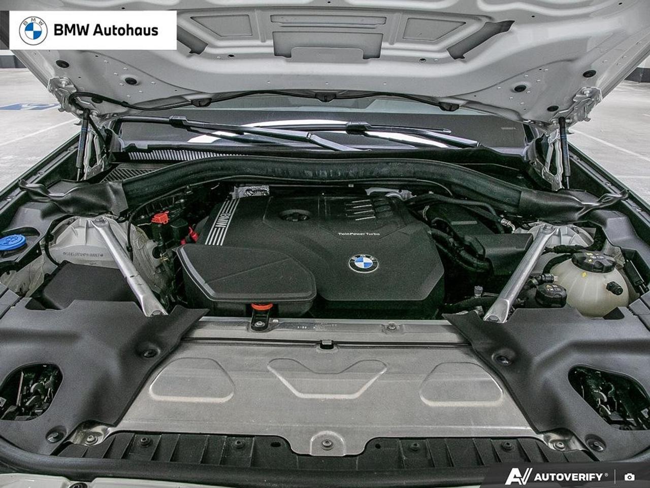 2023 BMW X3 xDrive30i Sports Activity Vehicle Photo