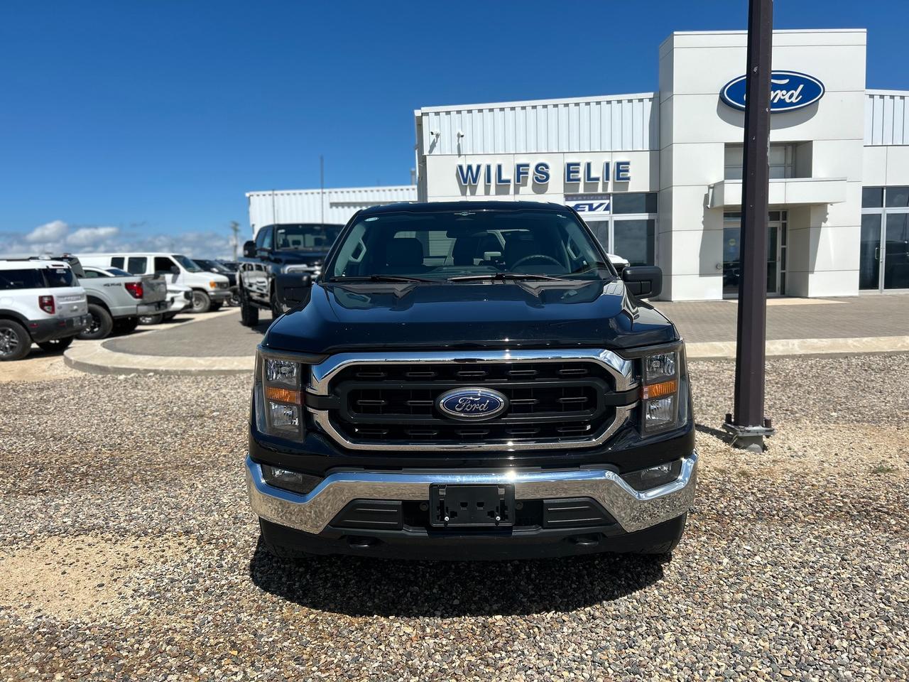 2023 Ford F-150 XLT Photo