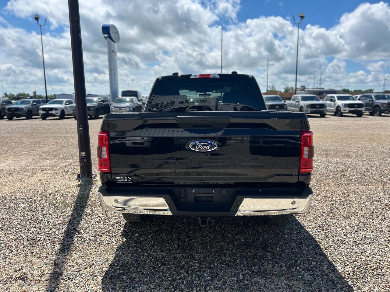 2023 Ford F-150 XLT Photo4
