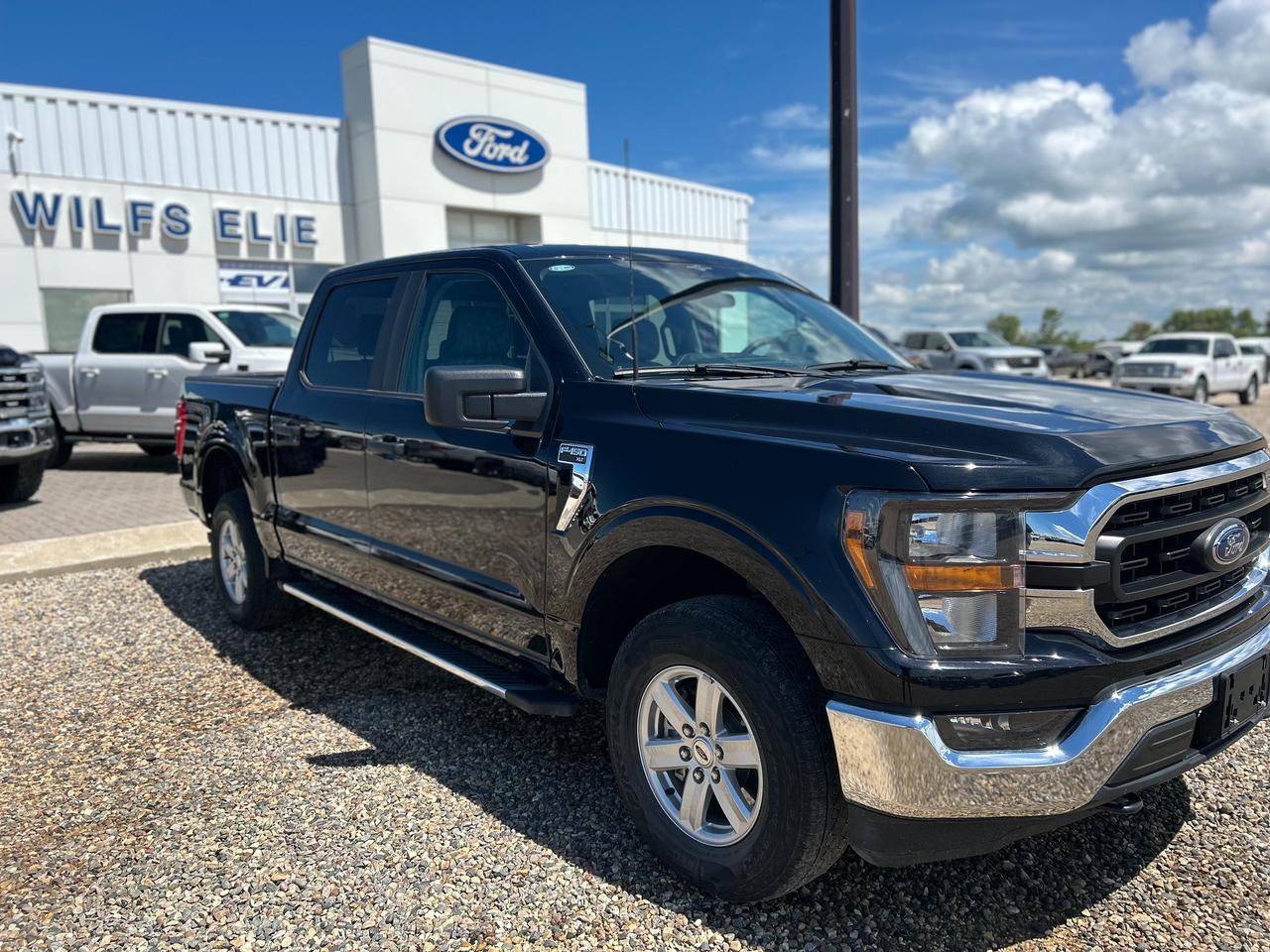 2023 Ford F-150 XLT Photo3