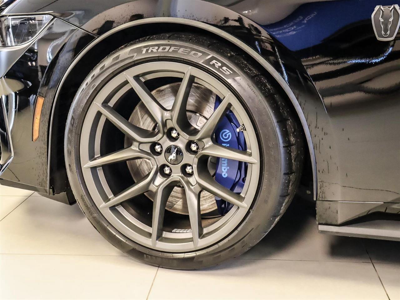 2026 Ford Mustang Dark Horse | Dark Horse Handling Pkg. | Appearance Pkg. | Sync | Photo