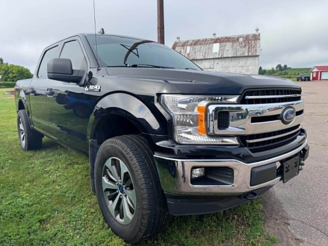 2020 Ford F-150 XLT Photo5