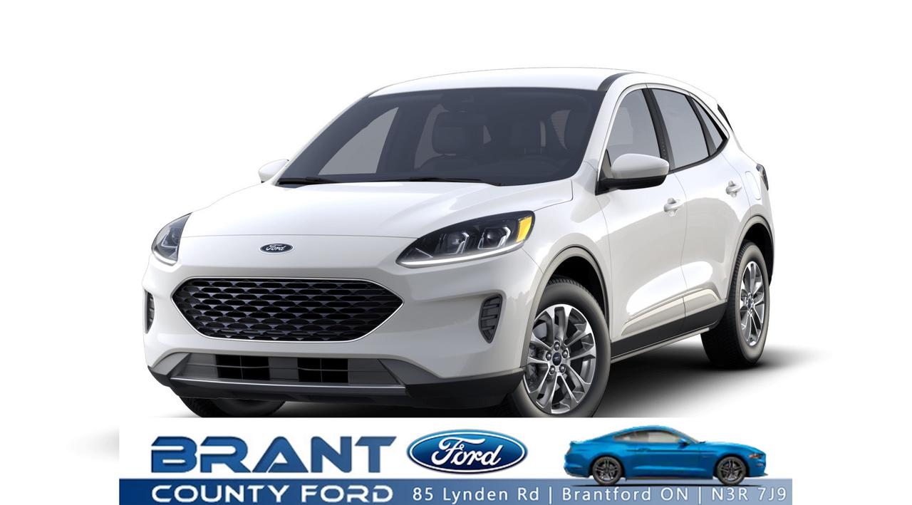 Used 2022 Ford Escape SE AWD for sale in Brantford, ON