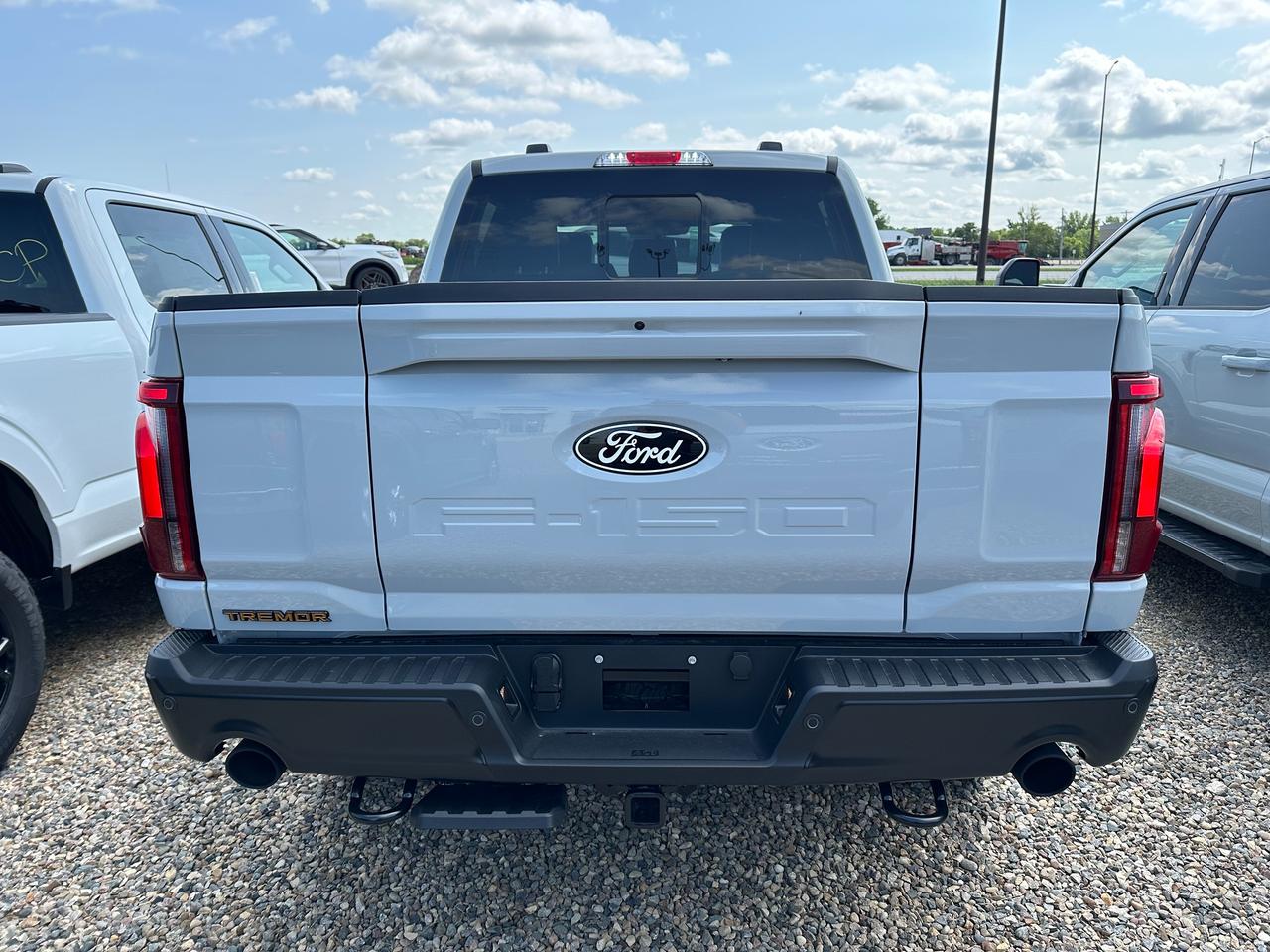 2026 Ford F-150 TREMOR 4WD SuperCrew 5.5' Box 402A Photo