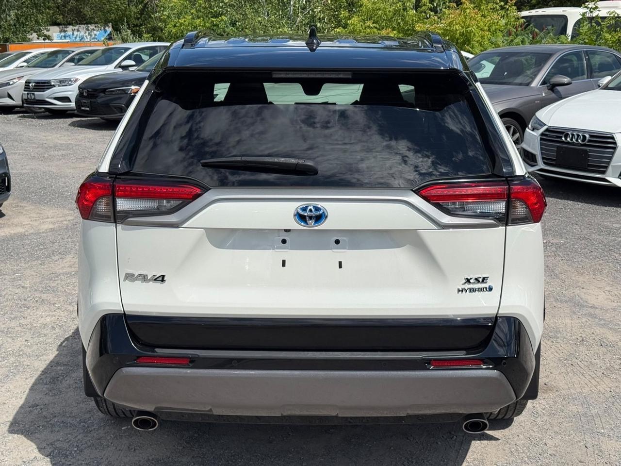 2020 Toyota RAV4 XLE Photo