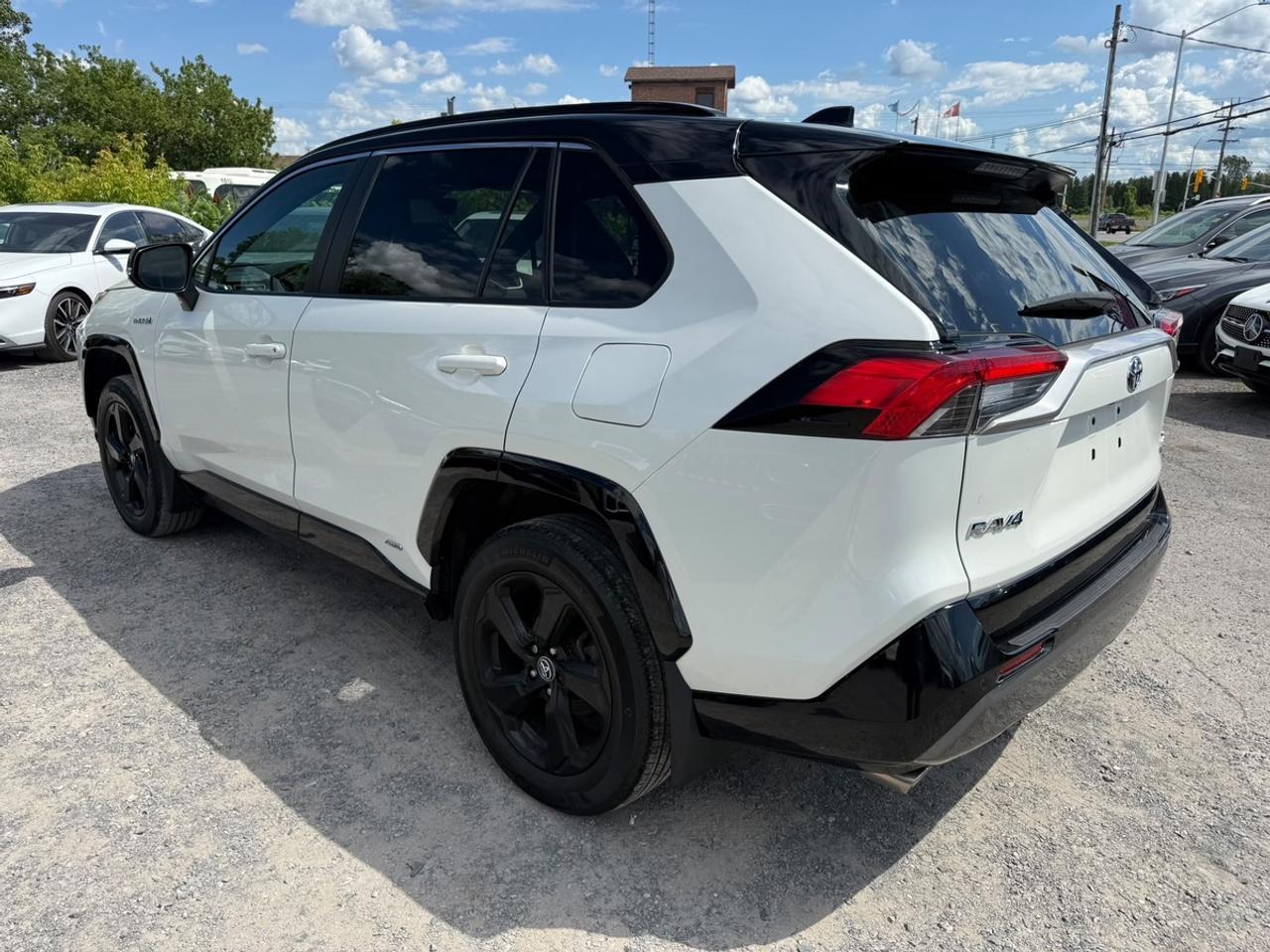 2020 Toyota RAV4 XLE Photo