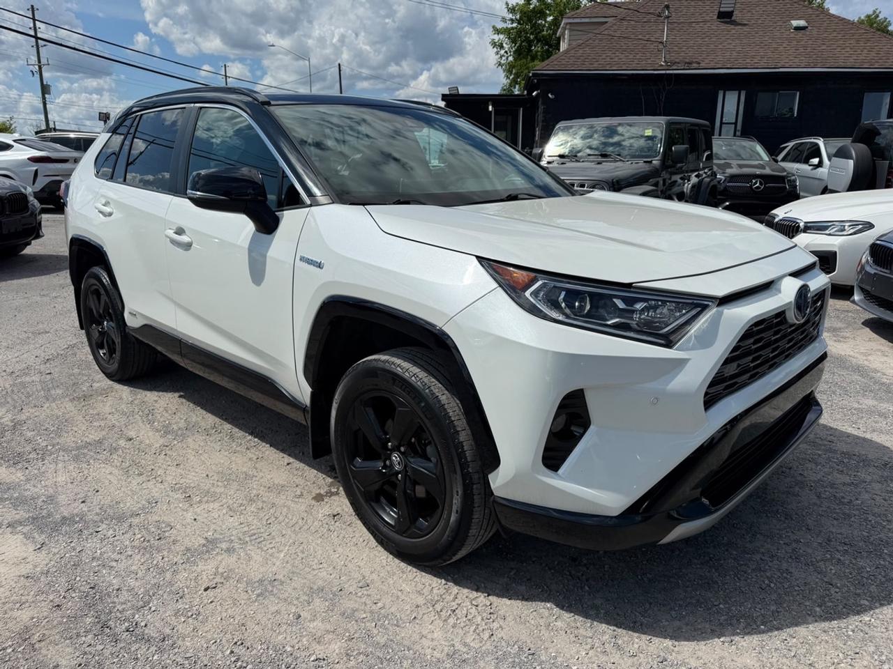 2020 Toyota RAV4 XLE Photo