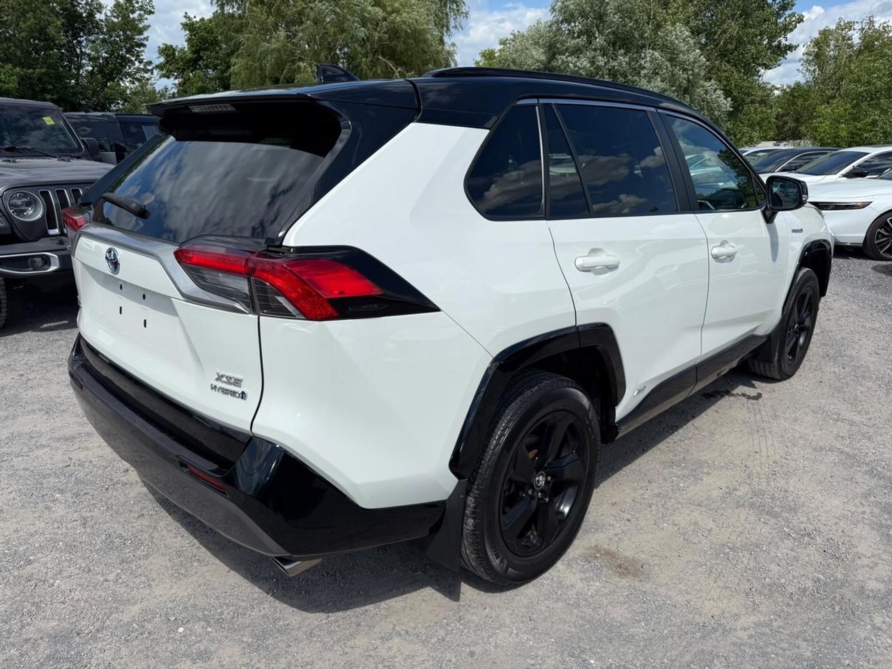 2020 Toyota RAV4 XLE Photo