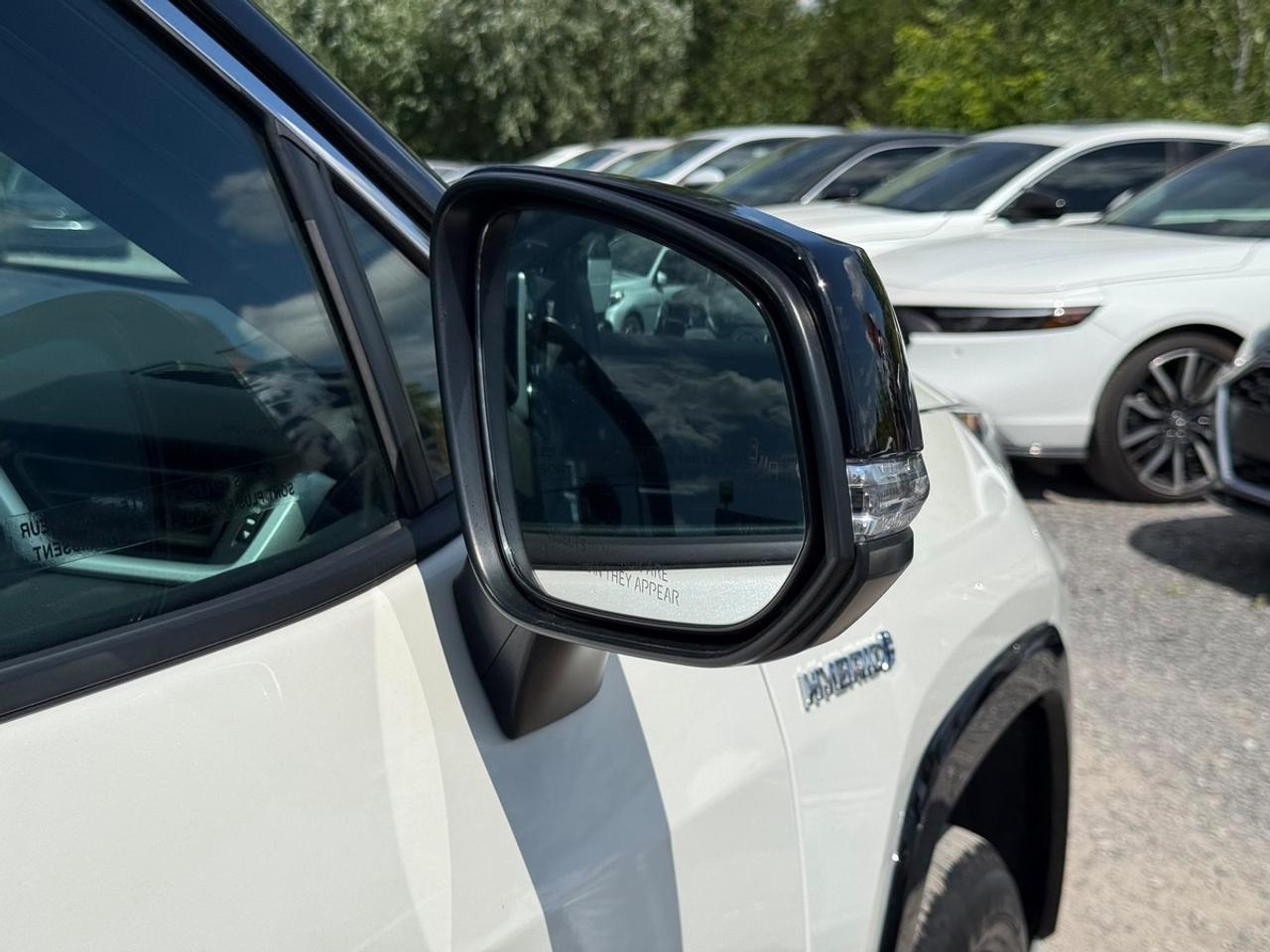 2020 Toyota RAV4 XLE Photo