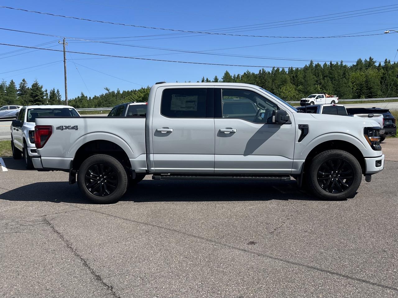 2026 Ford F-150 XLT 4WD SuperCrew 5.5' Box Photo4