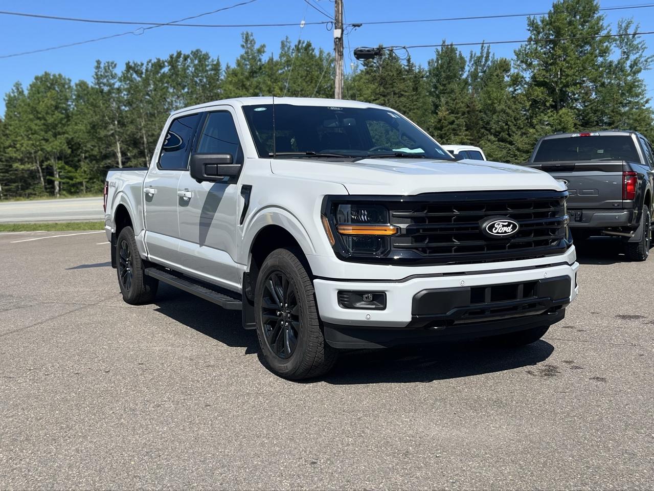 2026 Ford F-150 XLT 4WD SuperCrew 5.5' Box Photo3