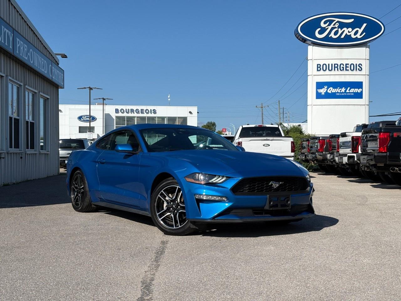 <p>Experience the thrill of the drive with this 2021 Ford Mustang EcoBoost Fastback, bathed in a striking blue hue and equipped with a rear-wheel-drive for unmatched handling on the open road. This iconic coupe is designed to exhilarate any automotive enthusiast.</p><p>The exterior's dynamic lines are complemented by stylish alloy wheels, while the inviting black interior promises comfort with elements like a leather steering wheel and leather gear shifter material. Spacious yet sporty, this Mustang captivates all senses with its modern aesthetic and thoughtful features.</p><p>Stay connected and confident behind the wheel, thanks to Bluetooth connectivity, a wi-fi hotspot, and smart device integration. Safety is paramount with inclusions like a backup camera, lane assist, and brake assist, ensuring a seamless driving experience for peace of mind on every journey.</p><p>Perfect for those who crave performance without sacrificing style or technology, this Mustang EcoBoost Fastback awaits its next adventure with you. Get in touch with Bourgeois Motors Ltd. today to learn more and take the first step towards making it yours.</p> <p><strong>Why Choose the Bourgeois Auto Group?</strong></p><p>For 80 years, Bourgeois Auto Group has been delivering exceptional automotive experiences. Our factor trained teams work to ensure you receive the shopping experience you deserve; whether you're looking for a new or new-to-you vehicle.</p><p>Shop 24/7 with our online showroom and chat service, ensuring convenience every step of the way. No hidden fees, full disclosure, and every pre-owned vehicle comes with a Carfax® report for peace of mind.</p><p>We offer a wide selection of pre-owned vehicles, all competitively priced using real-time market data. Get the best deal on your purchase and trade-in with our free Live Market Analysis report.</p><p>Looking to sell your car? We buy any make or modelno purchase required. Our simple to use online trade valuation tool will provide you with a clear, transparent selling experience whether you buy our car or not.</p><p>Backed by hundreds dedicated employees across 4 convenient locations, were here to meet all your automotive needs. Visit us in Midland or Parry Sound and explore our inventory or schedule your next service today.</p> <p><strong>Financing Your Next Vehicle with Bourgeois Motors Ford in Midland:</strong></p><p>At Bourgeois Motors Ford, we make financing your next vehicle simple and stress-free! Our team works with trusted lenders to find flexible options tailored to your budget. Drive away with confidenceapply today!</p><p>Take advantage of our online pre-qualification tool, backed by Equifax and TD Bank to find the payment that works for you. Simply <a href=https://www.bourgeoismotors.com/free-credit-check/ rel=nofollow><strong>CLICK HERE</strong></a><strong> </strong>to use our secure online credit tool with no impact to your credit.</p>