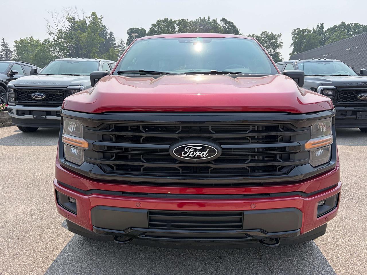 2026 Ford F-150 XLT 4WD SuperCrew 5.5' Box 302A Photo1