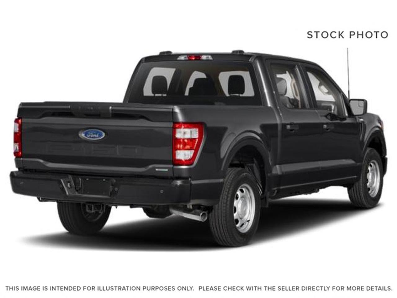 2023 Ford F-150 XLT Photo2
