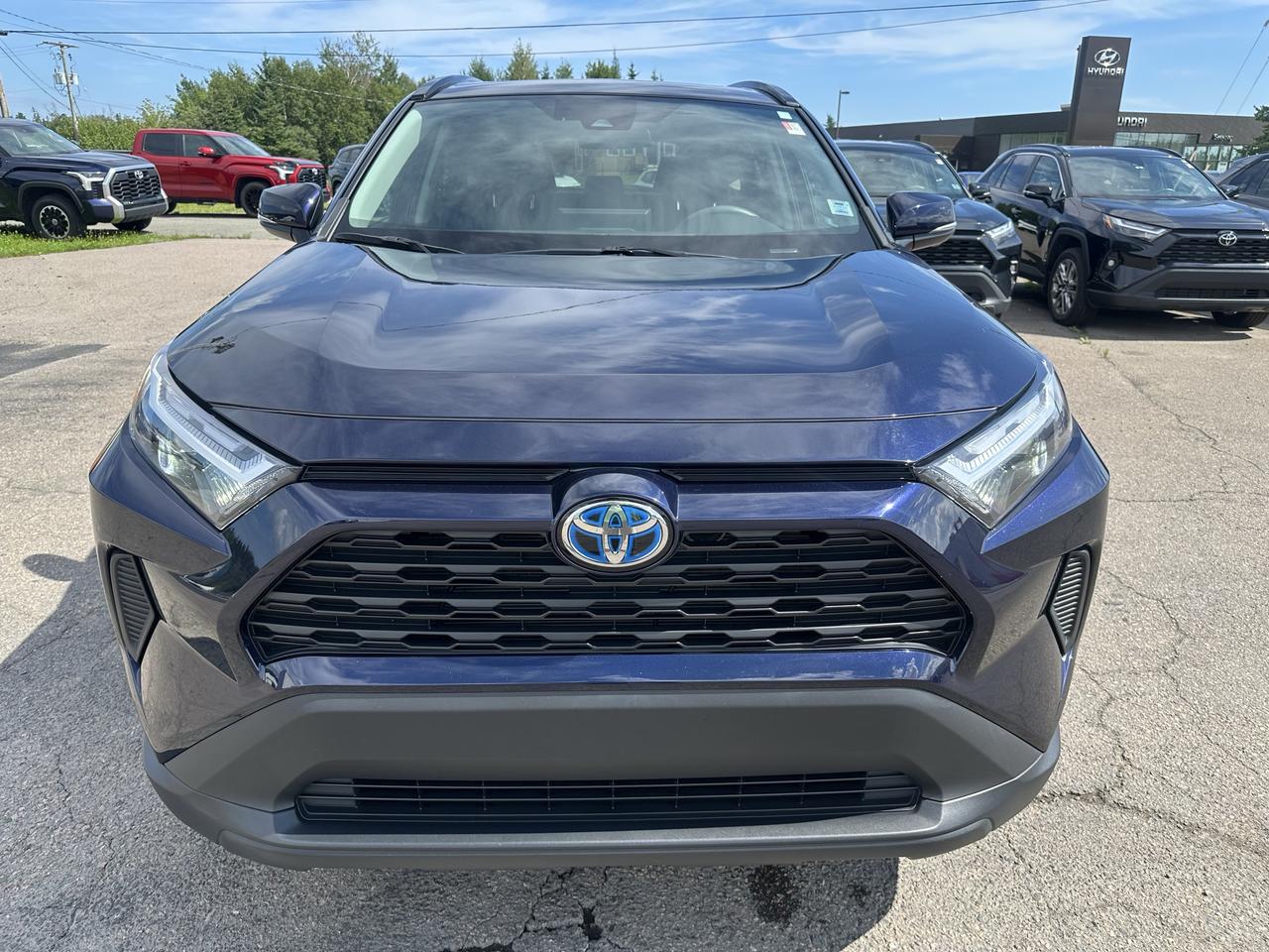 2024 Toyota RAV4 Hybrid XLE Photo1