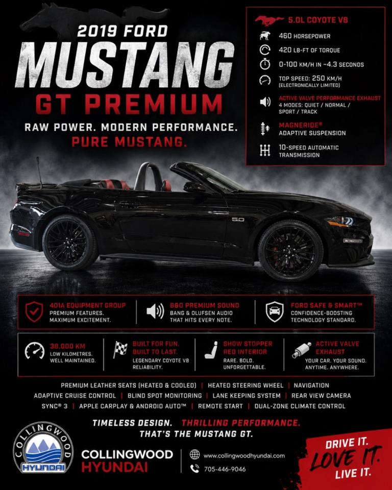 2019 Ford Mustang GT Premium Coupe | 401A | MagneRide | Active Valve Exhaust | Only 38,000 KM

Some cars simply turn heads. This 2019 Ford Mustang GT Premium commands attention every time it starts.

Finished in Shadow Black over the stunning Show Stopper Red leather interior, this Mustang combines timeless muscle car styling with modern technology and track-inspired performance. With just 38,000 km, this exceptionally well-kept GT is loaded with some of Fords most sought-after factory options, making it one of the most desirable S550 Mustangs available.

Under the hood is Fords legendary 5.0L Coyote Ti-VCT V8, producing an exhilarating 460 horsepower and 420 lb-ft of torque. Paired with lightning-fast acceleration, a 0-100 km/h time of approximately 4.3 seconds, and a top speed electronically limited to 250 km/h (155 mph), this Mustang delivers an unforgettable driving experience every time you hit the throttle.

Adding even more excitement is the factory Active Valve Performance Exhaust, allowing you to switch between Quiet, Normal, Sport and Track exhaust modes with the push of a button. Whether youre leaving early in the morning or opening up the V8 on your favourite back road, this Mustang sounds exactly the way you want it to.

The factory MagneRide® Adaptive Damping Suspension constantly adjusts the suspension up to 1,000 times per second, providing incredible handling through corners while maintaining an impressively comfortable ride during everyday driving.

Factory Equipment Includes:

  5.0L Coyote V8 - 460 Horsepower/  401A Equipment Group
  Premium Leather Interior
  Rare Show Stopper Red Leather Seats/  Active Valve Performance Exhaust/  MagneRide Adaptive Suspension
  Ford Safe & Smart Package/  Blind Spot Information System (BLIS)/  Adaptive Cruise Control
  Pre-Collision Assist with Automatic Emergency Braking/  Lane Keeping System
  Automatic High Beam Headlamps/  B&O Premium Sound System by Bang & Olufsen/  Heated & Ventilated Front Seats
  Heated Steering Wheel
  SYNC® 3 with Apple CarPlay & Android Auto/  Navigation
  Remote Start
  Dual-Zone Automatic Climate Control/  Rear View Camera
  Push Button Start/  Selectable Drive Modes

Beyond the impressive options list, the Mustang GT Premium has become one of the most respected modern muscle cars ever built. The naturally aspirated Coyote V8 is celebrated for its reliability, incredible soundtrack, and ability to rev to over 7,000 RPM, delivering performance that continues to impress enthusiasts around the world.

The 2019 model also benefits from Fords updated styling, digital technology, improved 10-speed automatic calibration (if equipped), refined chassis tuning, and enhanced interior quality, making it one of the best all-around Mustangs ever produced.

If youve been searching for a low-kilometre, highly optioned Mustang with the right colour combination, premium equipment, and exhilarating V8 performance, this is one you wont want to miss.

Only 38,000 km. Shadow Black. Show Stopper Red Interior. 401A Package. MagneRide. Active Valve Exhaust. Ford Safe & Smart. B&O Audio.

This is modern American muscle at its absolute best.<p>000 KM

Some cars simply turn heads. This 2019 Ford Mustang GT Premium commands attention every time it starts.

Finished in Shadow Black over the stunning Show Stopper Red leather interior</p>
<p> this Mustang combines timeless muscle car styling with modern technology and track-inspired performance. With just 38</p>
<p> making it one of the most desirable S550 Mustangs available.

Under the hood is Fords legendary 5.0L Coyote Ti-VCT V8</p>
<p> producing an exhilarating 460 horsepower and 420 lb-ft of torque. Paired with lightning-fast acceleration</p>
<p> this Mustang delivers an unforgettable driving experience every time you hit the throttle.

Adding even more excitement is the factory Active Valve Performance Exhaust</p>
<p> Sport and Track exhaust modes with the push of a button. Whether youre leaving early in the morning or opening up the V8 on your favourite back road</p>
<p> this Mustang sounds exactly the way you want it to.

The factory MagneRide® Adaptive Damping Suspension constantly adjusts the suspension up to 1</p>
<p> providing incredible handling through corners while maintaining an impressively comfortable ride during everyday driving.

Factory Equipment Includes:

  5.0L Coyote V8 - 460 Horsepower/  401A Equipment Group
  Premium Leather Interior
  Rare Show Stopper Red Leather Seats/  Active Valve Performance Exhaust/  MagneRide Adaptive Suspension
  Ford Safe & Smart Package/  Blind Spot Information System (BLIS)/  Adaptive Cruise Control
  Pre-Collision Assist with Automatic Emergency Braking/  Lane Keeping System
  Automatic High Beam Headlamps/  B&O Premium Sound System by Bang & Olufsen/  Heated & Ventilated Front Seats
  Heated Steering Wheel
  SYNC® 3 with Apple CarPlay & Android Auto/  Navigation
  Remote Start
  Dual-Zone Automatic Climate Control/  Rear View Camera
  Push Button Start/  Selectable Drive Modes

Beyond the impressive options list</p>
<p> the Mustang GT Premium has become one of the most respected modern muscle cars ever built. The naturally aspirated Coyote V8 is celebrated for its reliability</p>
<p> delivering performance that continues to impress enthusiasts around the world.

The 2019 model also benefits from Fords updated styling</p>
<p> making it one of the best all-around Mustangs ever produced.

If youve been searching for a low-kilometre</p>
<p>000 km. Shadow Black. Show Stopper Red Interior. 401A Package. MagneRide. Active Valve Exhaust. Ford Safe & Smart. B&O Audio.

This is modern American muscle at its absolute best.</p>