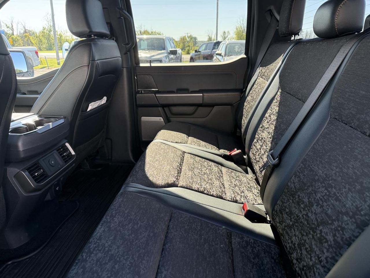 2026 Ford F-150 Tremor Photo