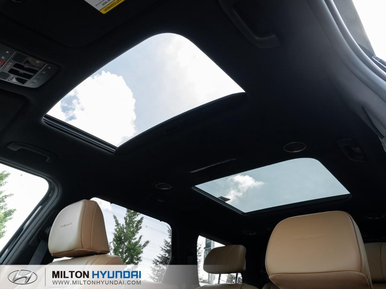 2026 Hyundai PALISADE Ultimate Calligraphy 4dr All-Wheel Drive Photo