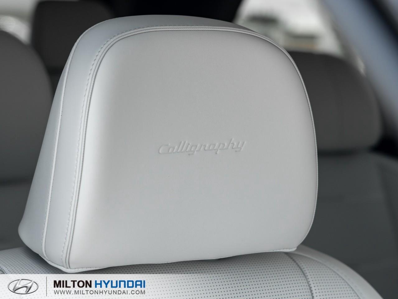 2026 Hyundai PALISADE Ultimate Calligraphy 4dr All-Wheel Drive Photo