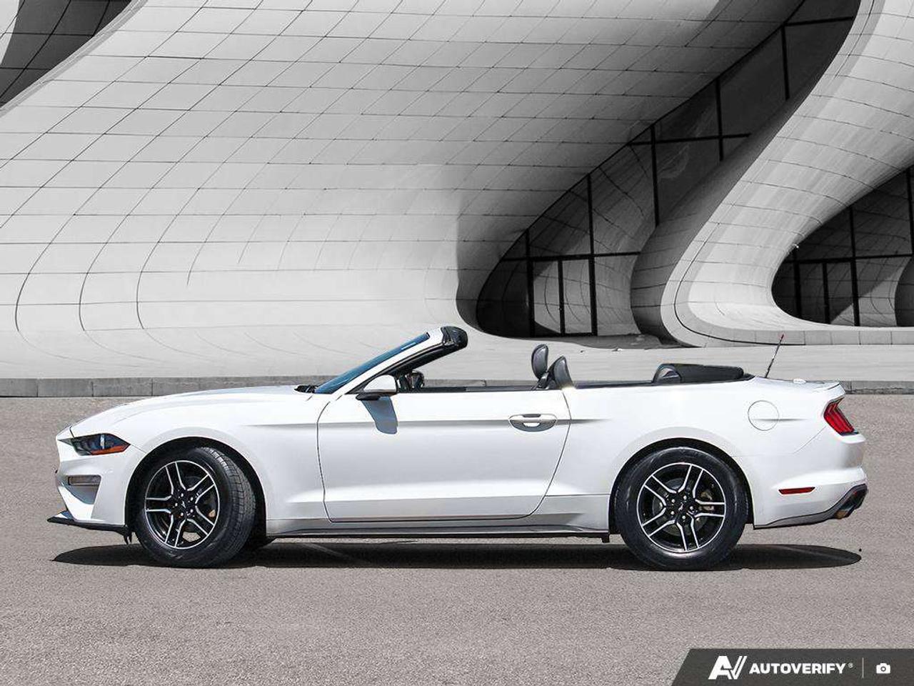 2023 Ford Mustang Premium PKG   Leather   Heated & Cooled Seats   Push Button Start Photo