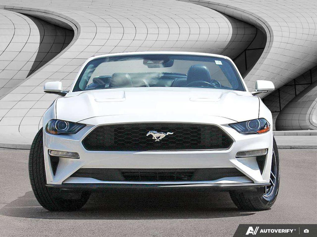 2023 Ford Mustang Premium PKG   Leather   Heated & Cooled Seats   Push Button Start Photo