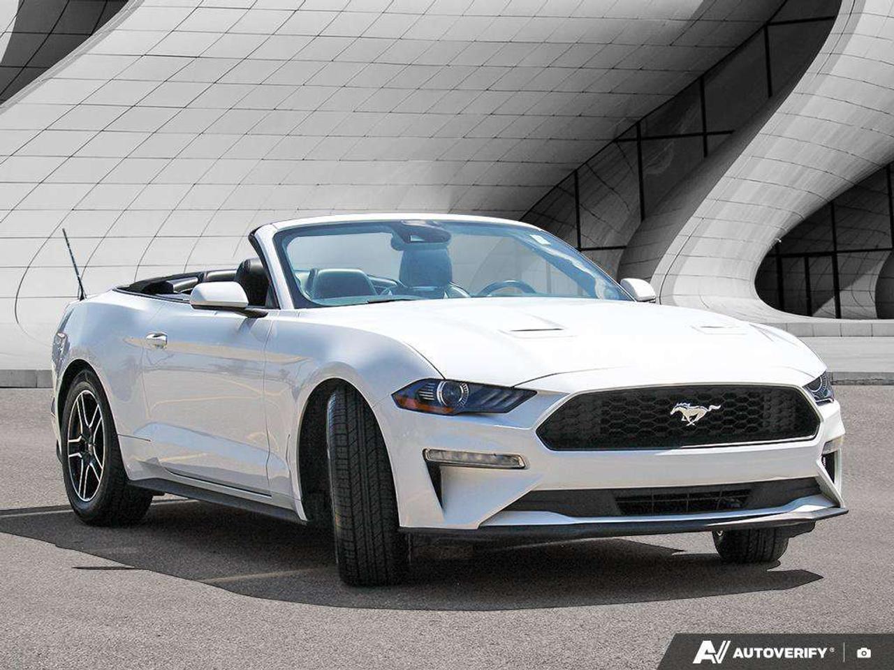 2023 Ford Mustang Premium PKG   Leather   Heated & Cooled Seats   Push Button Start Photo