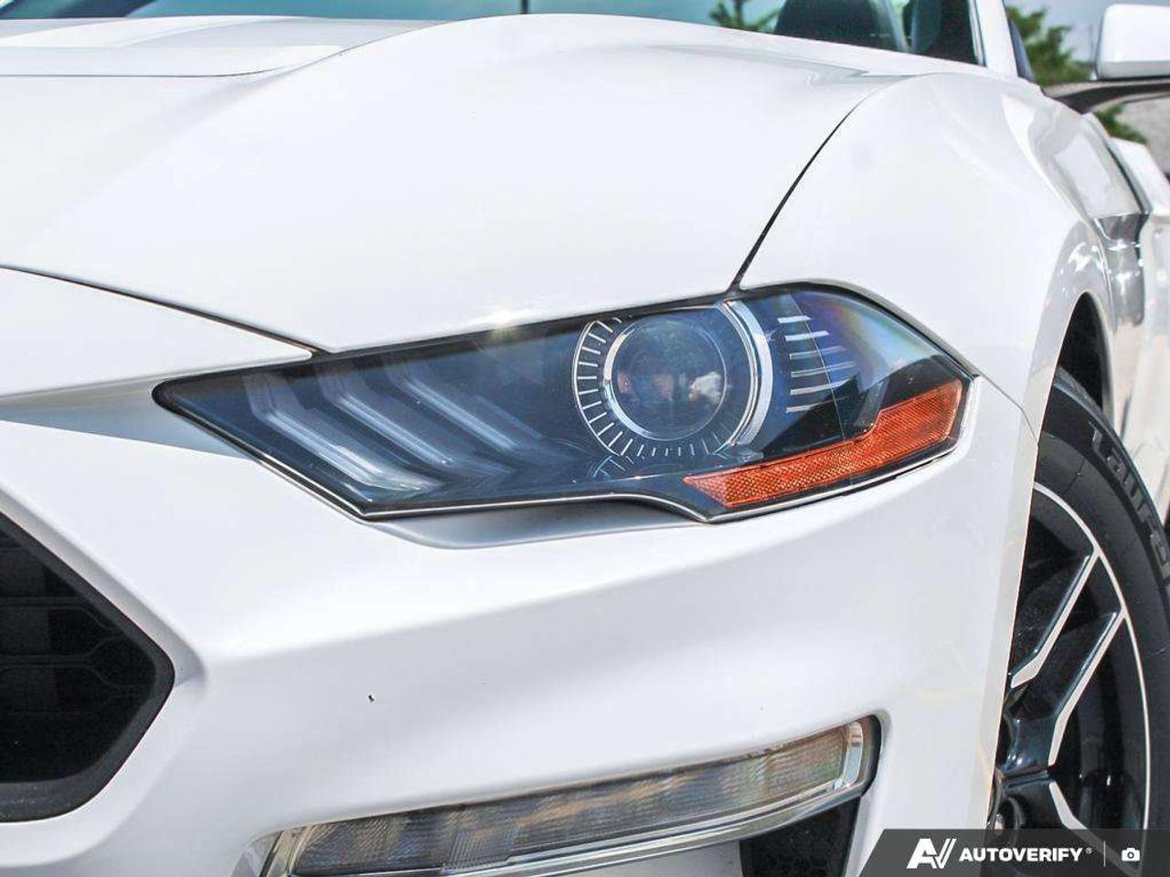 2023 Ford Mustang Premium PKG   Leather   Heated & Cooled Seats   Push Button Start Photo