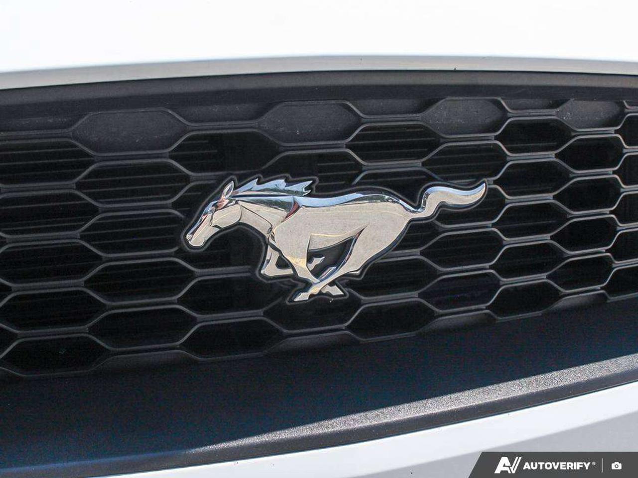 2023 Ford Mustang Premium PKG   Leather   Heated & Cooled Seats   Push Button Start Photo