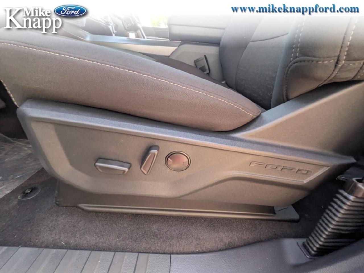 2026 Ford F-150 XLT Photo