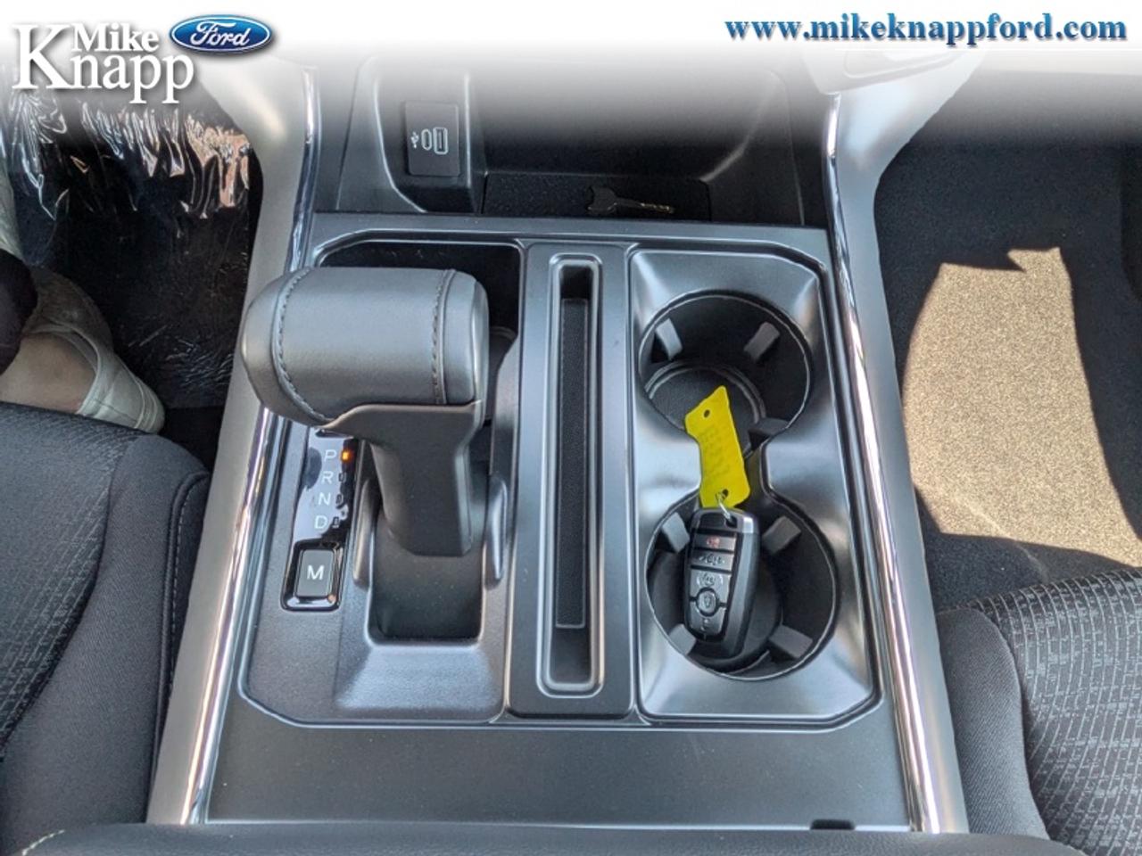 2026 Ford F-150 XLT Photo